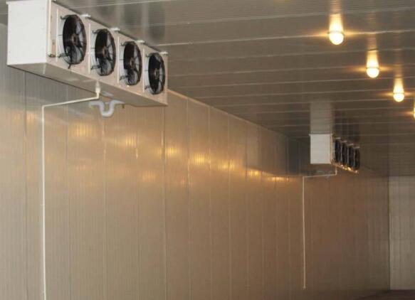 ���(k��)�Ď�(k��)��׃���{(di��o)��(ji��)��θ�������