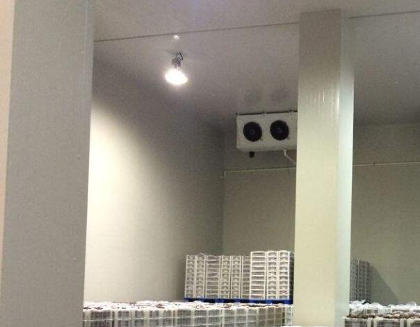 �������{(di��o)��(ji��)�������Oʩ